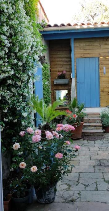 Maison De Charme Proche Gare Et Centre Ville Gaillac Ngoại thất bức ảnh