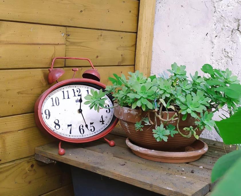 Maison De Charme Proche Gare Et Centre Ville Gaillac Ngoại thất bức ảnh