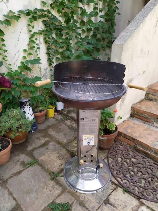 Maison De Charme Proche Gare Et Centre Ville Gaillac Ngoại thất bức ảnh