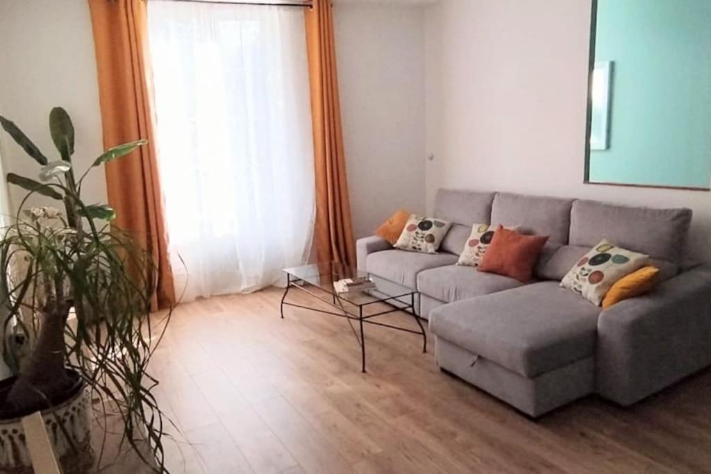 Maison De Charme Proche Gare Et Centre Ville Gaillac Ngoại thất bức ảnh