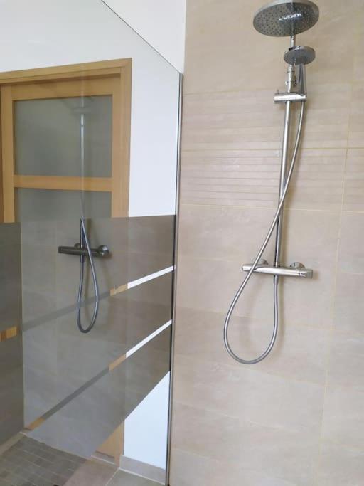 Maison De Charme Proche Gare Et Centre Ville Gaillac Ngoại thất bức ảnh