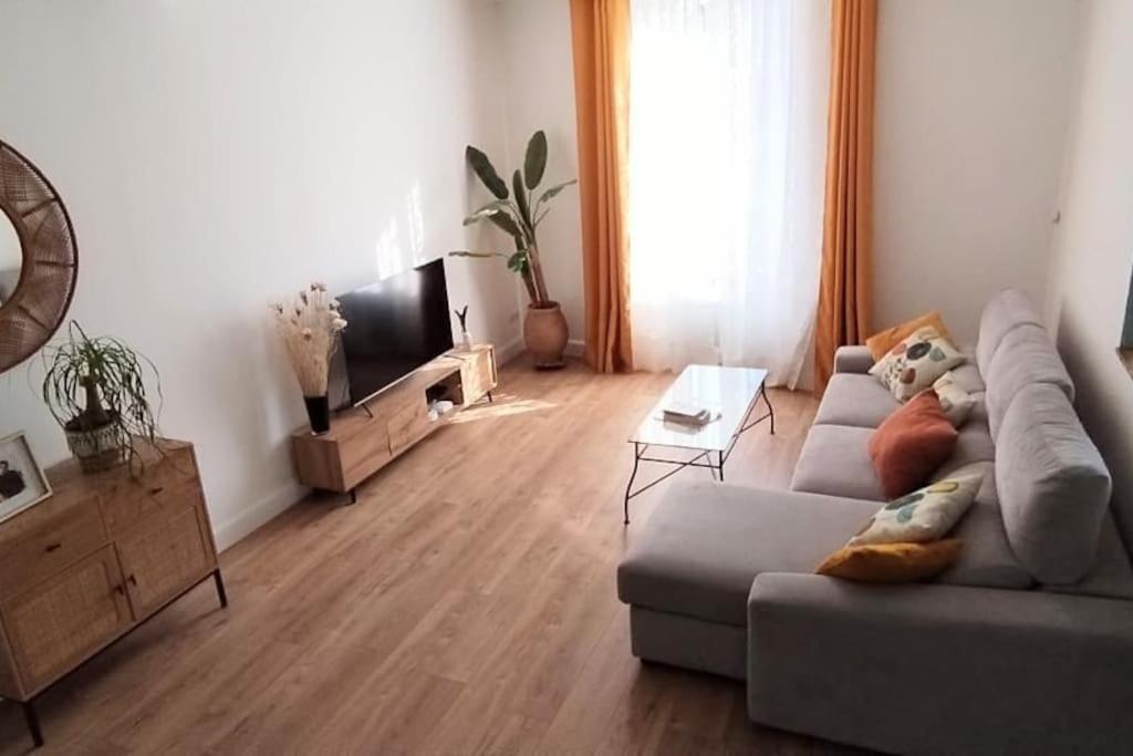 Maison De Charme Proche Gare Et Centre Ville Gaillac Ngoại thất bức ảnh